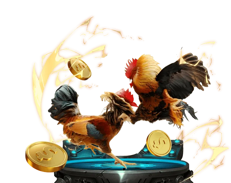 Cá cược đá gà trực tiếp 67